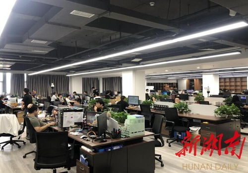 衡陽崛起數(shù)字經(jīng)濟新高地 物聯(lián)網(wǎng)應用服務驅動城市轉型